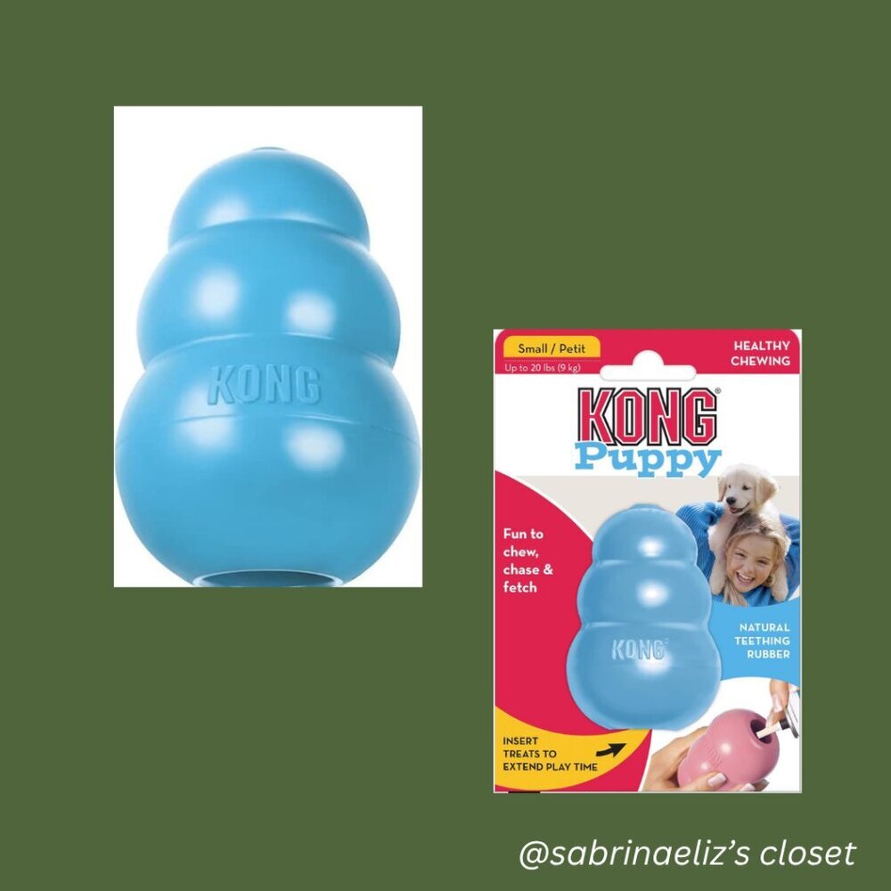 ***NEW*** Kong Puppy - Blue - 3-Pack - Picture 1 of 3